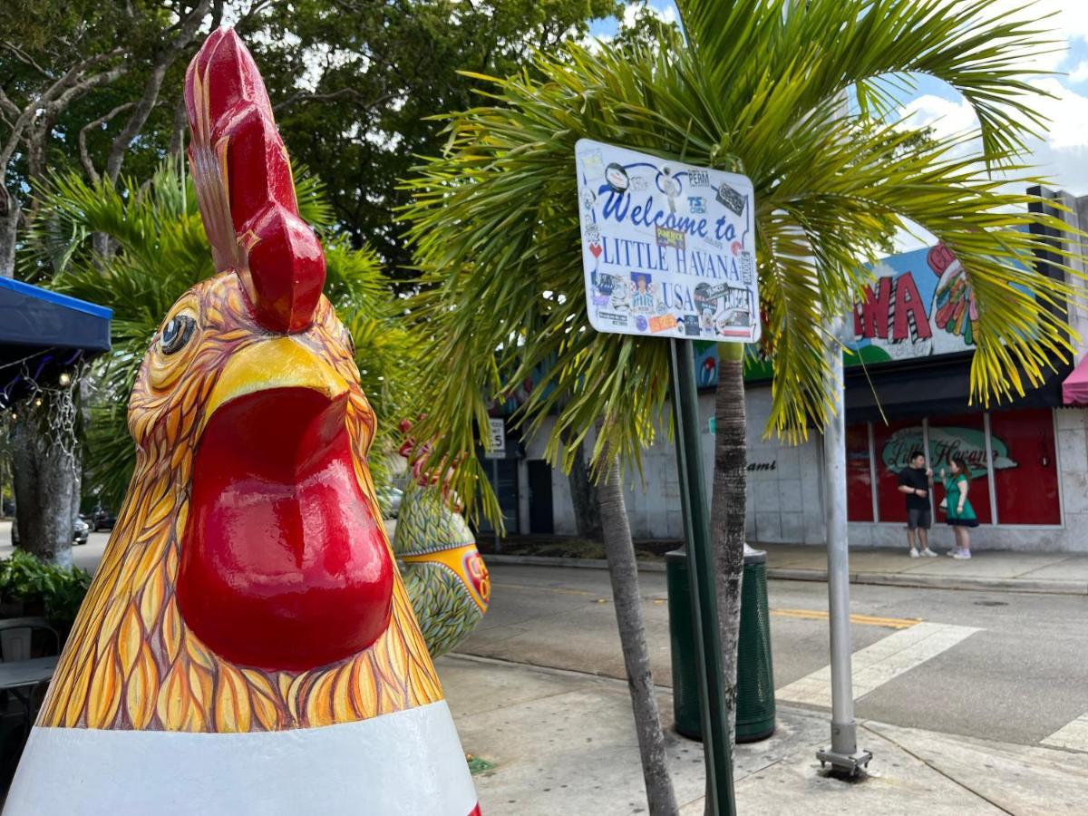 Stunning Little Havana Suites Close To Airport, Calle Ocho, Brickell, Wynwood And The Beaches - Free Parking Miami Exterior foto
